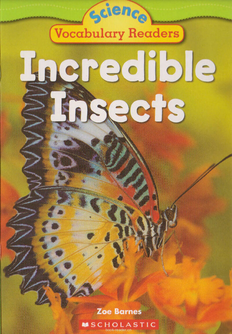 Incredible Insects绘本故事第2页