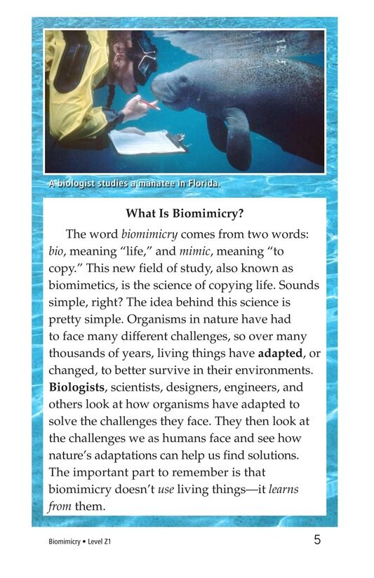 Biomimicry绘本故事第4页
