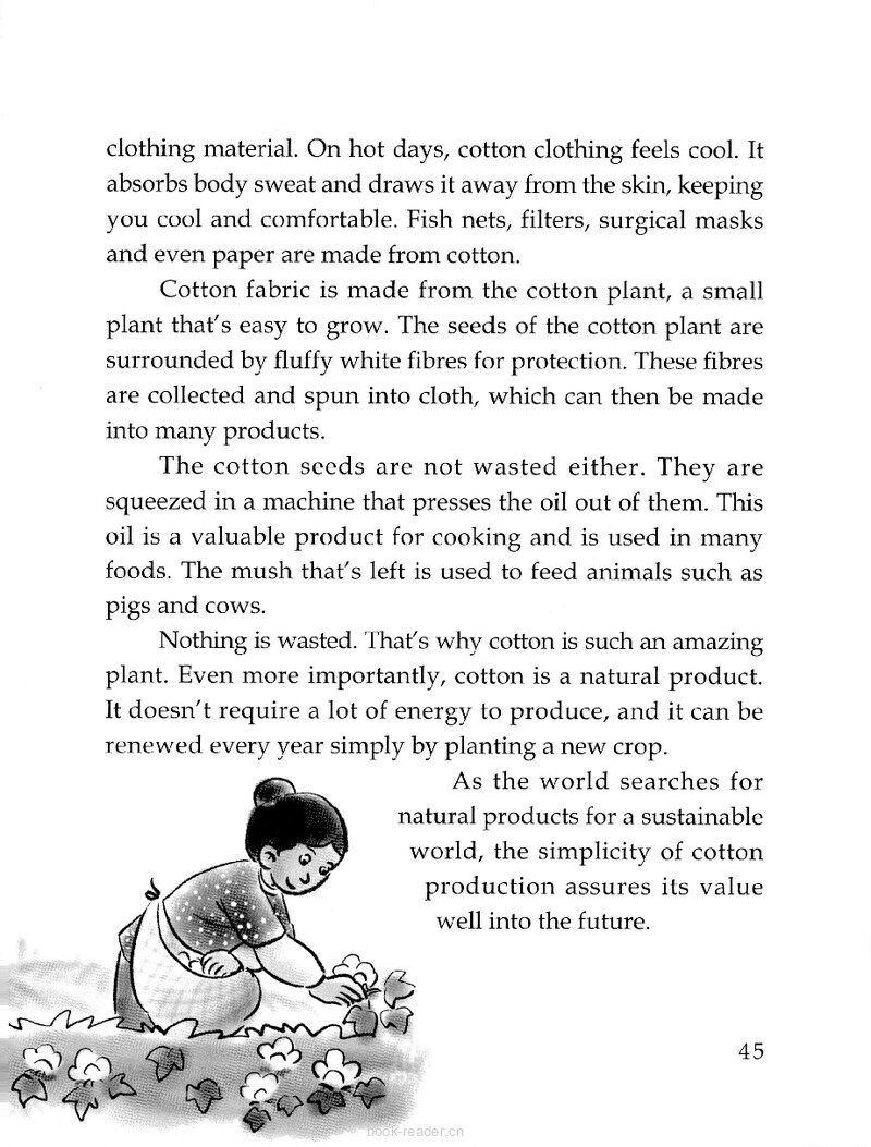 Cotton: A Valued Plant for Thousands of Years绘本故事第3页