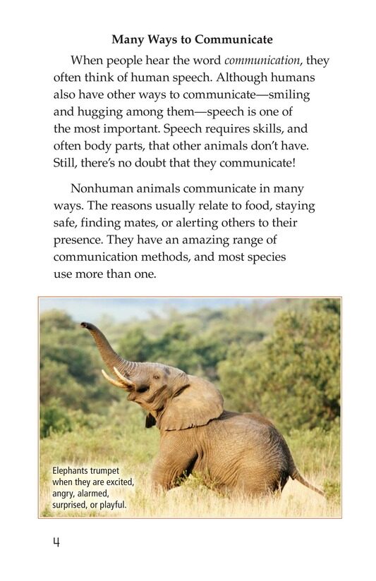 Animal Communication绘本故事第3页