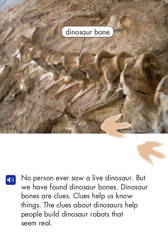 Dinosaur Museum绘本故事第5页