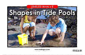 Shapes in Tide Pools