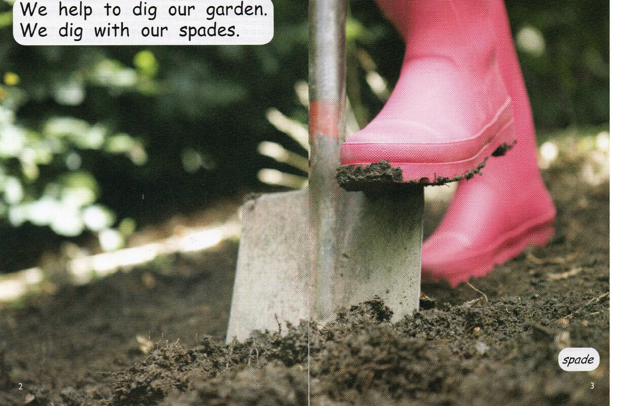 grow a garden绘本故事第3页