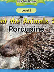 Porcupine