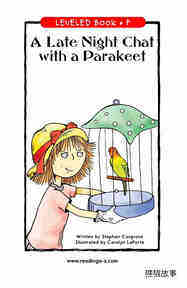 A Late Night Chat with a Parakeet