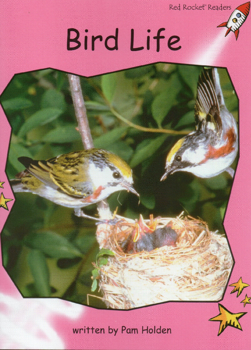 bird life绘本故事第2页