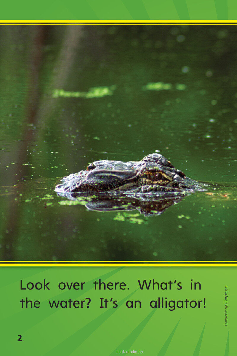 G1 App U4W3 Go, Gator!绘本故事第4页