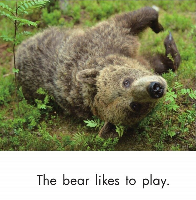 The Bear绘本故事第3页