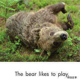 The Bear绘本故事第3页