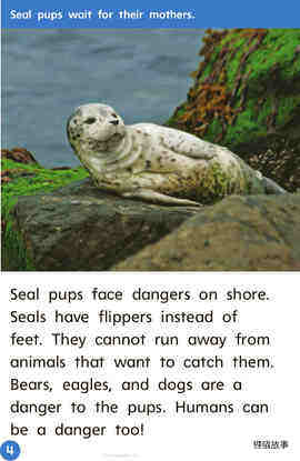 GK Beyond U10W3 Babysitters for Seals绘本故事第5页