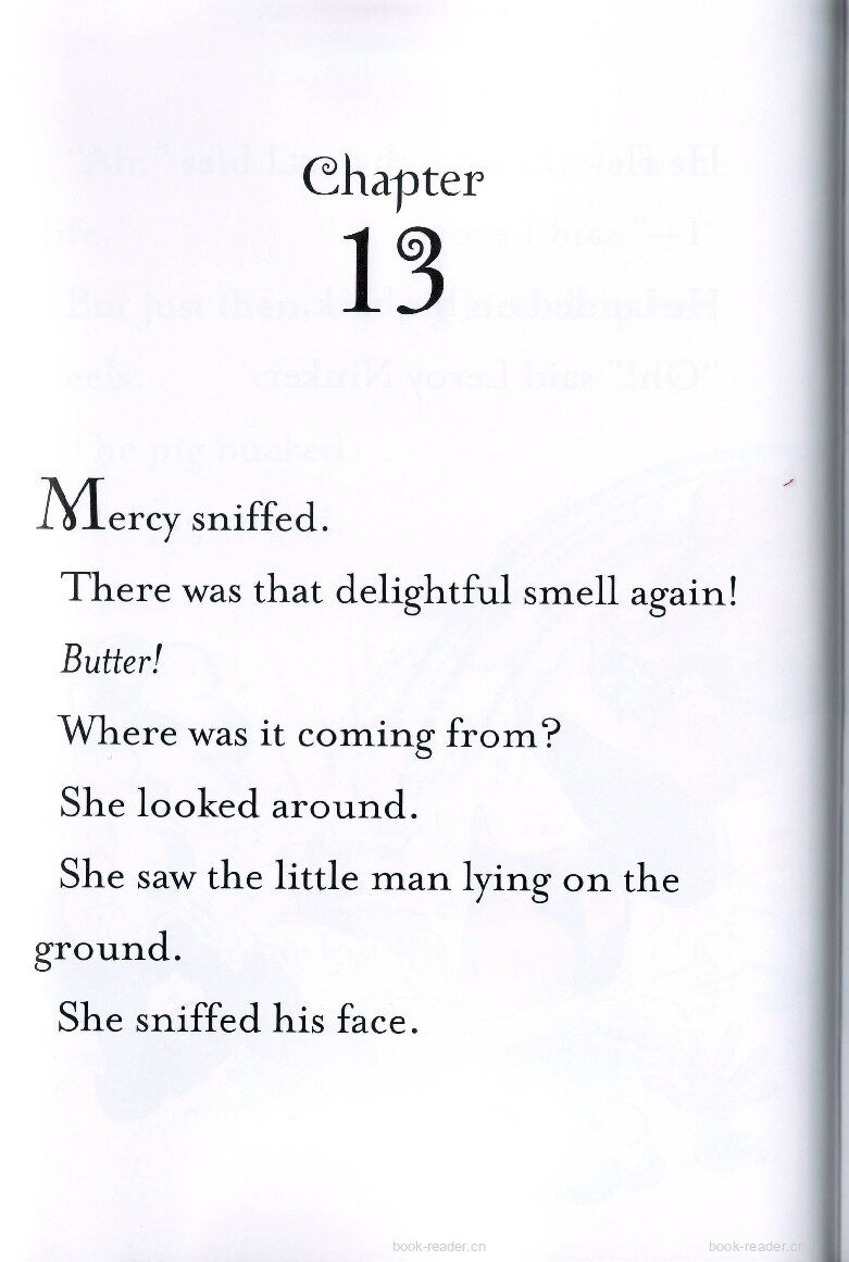 3-13 Mercy Watson Fights Crime绘本故事第2页