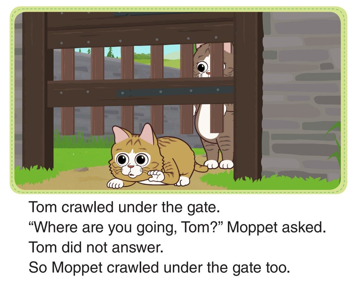 In the Box绘本故事第5页