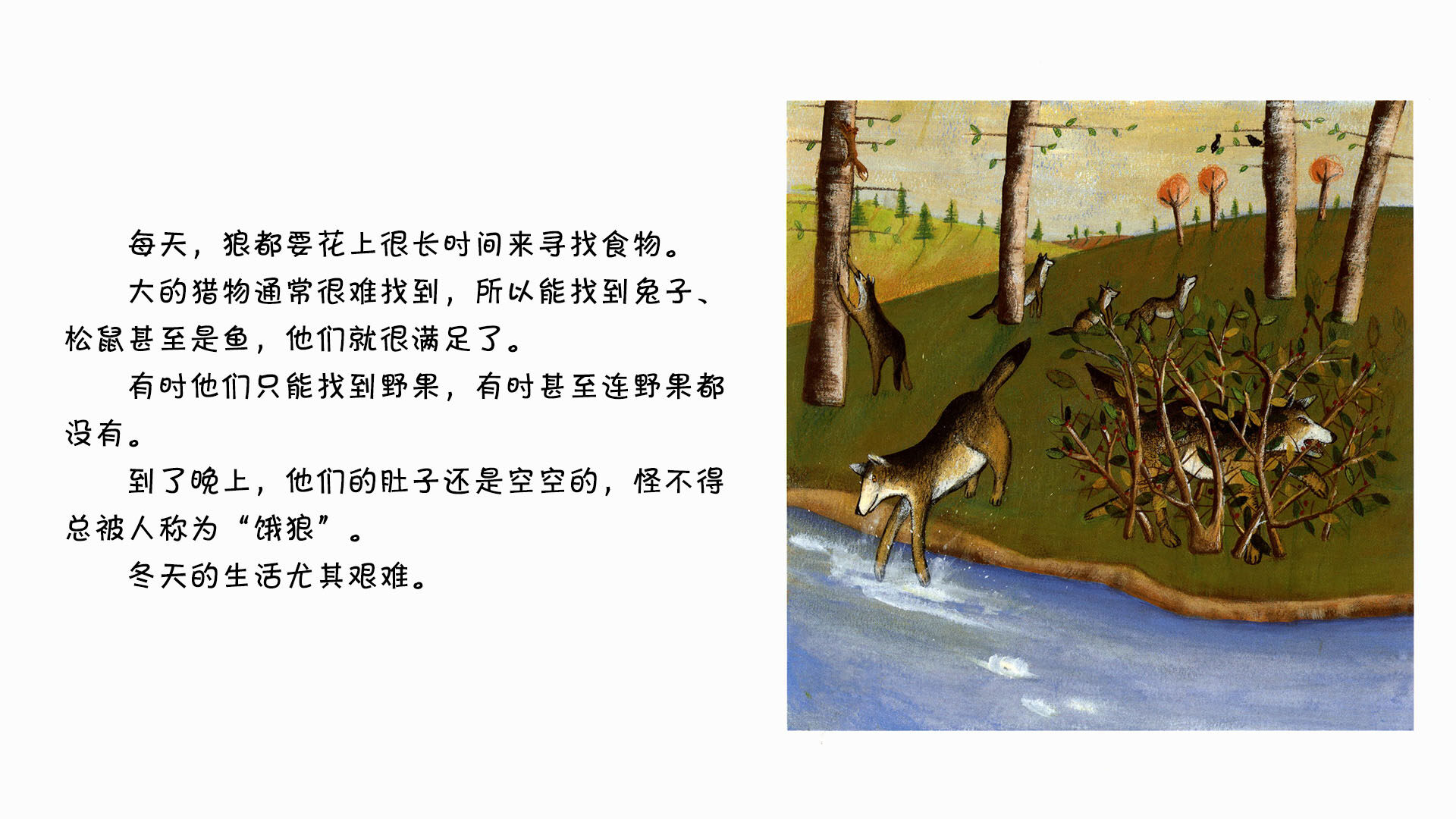 狼绘本故事第4页