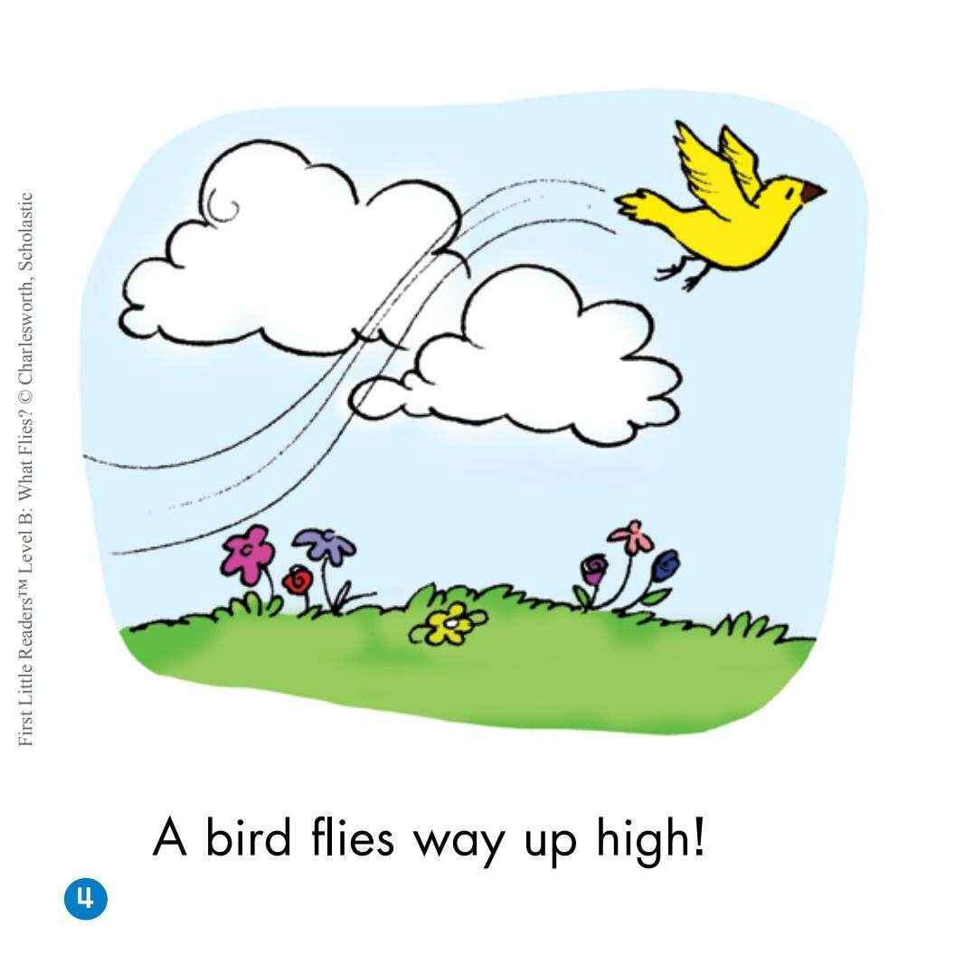 What Flies?绘本故事第5页