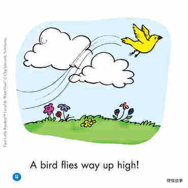 What Flies?绘本故事第5页
