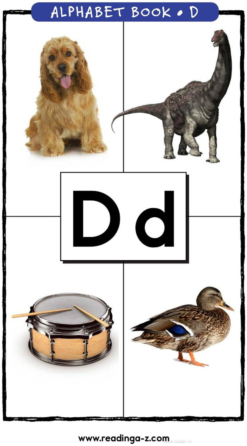 Letter D绘本故事第2页