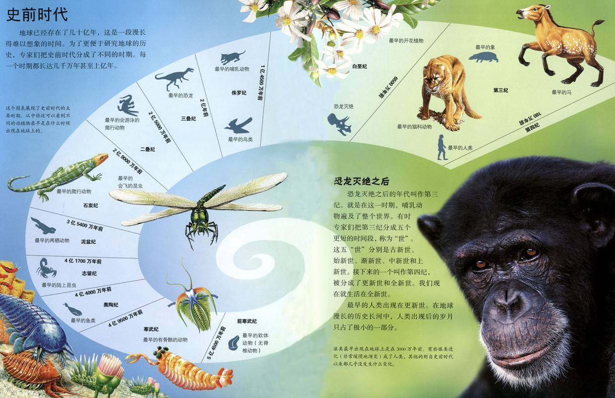 搜索5亿年前的生命绘本故事第4页