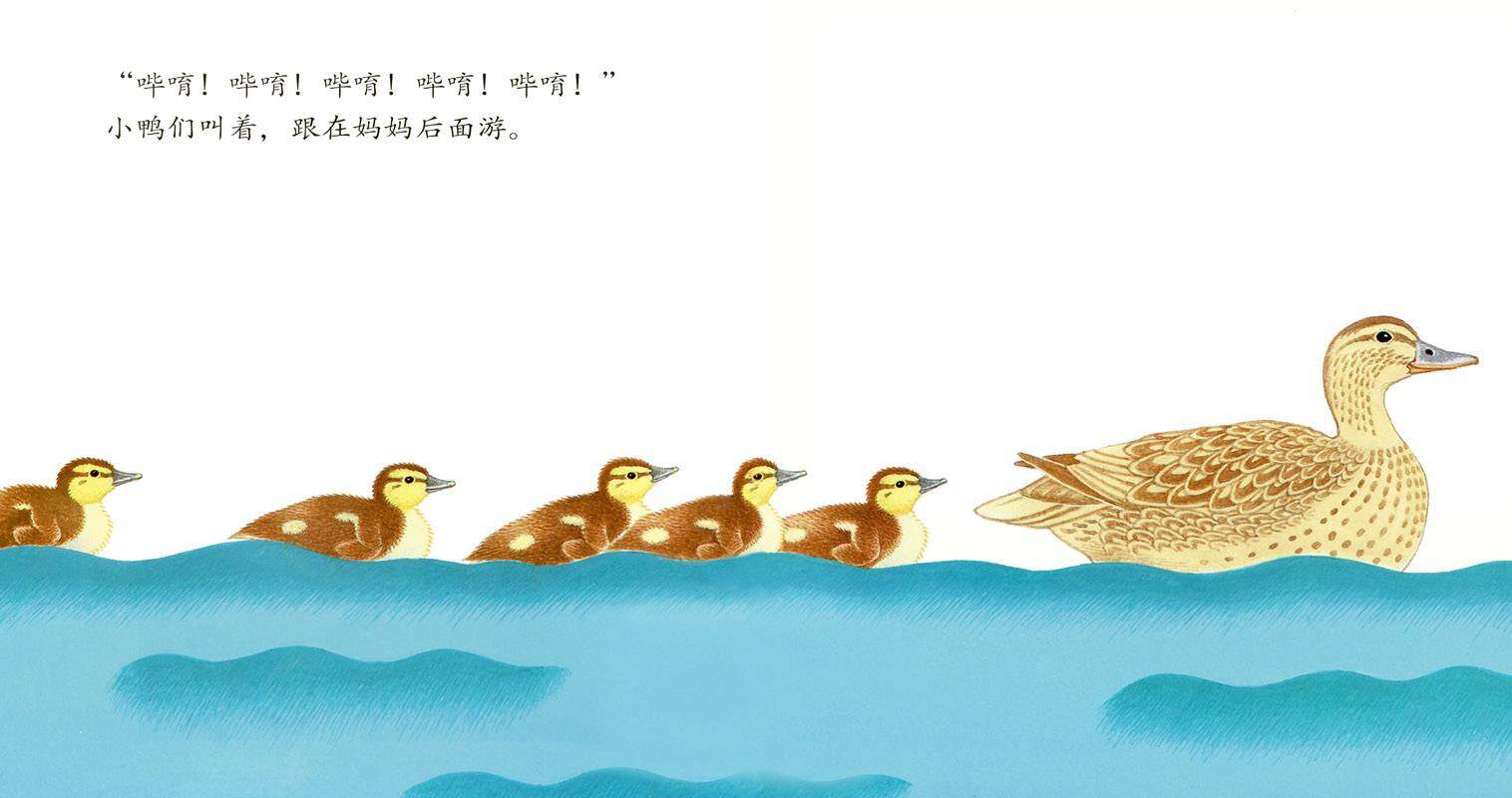 要跟着来噢绘本故事第4页