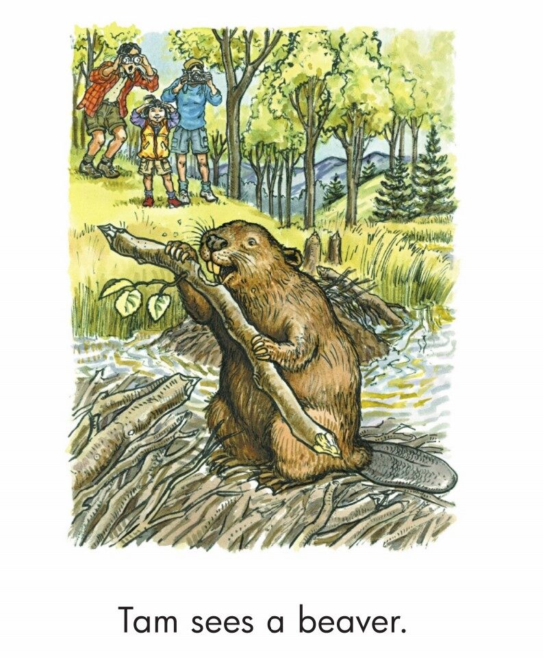 A Walk in the Forest绘本故事第4页