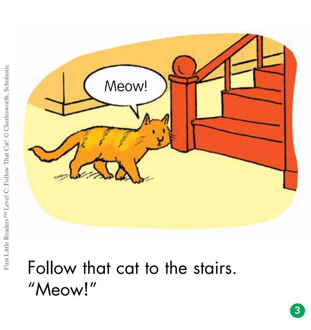 Follow That Cat绘本故事第4页