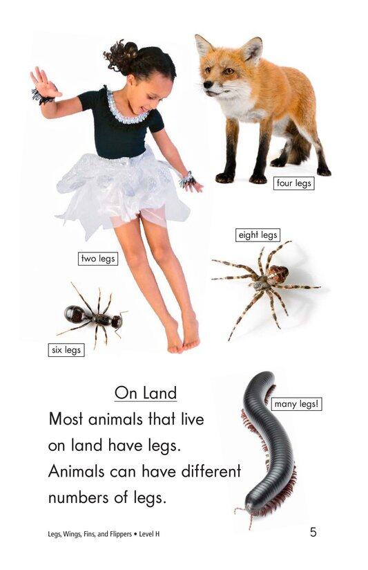 Legs,Wings,Fins,and Flippers绘本故事第4页