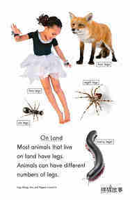 Legs,Wings,Fins,and Flippers绘本故事第4页