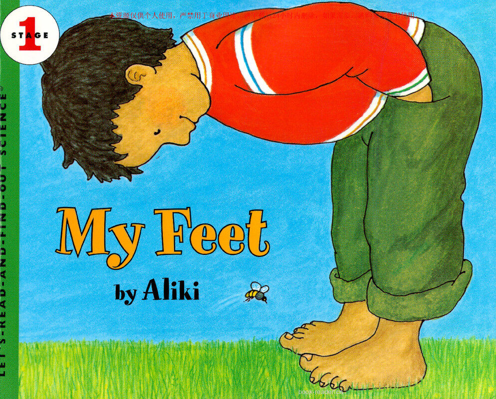 My Feet绘本故事第2页