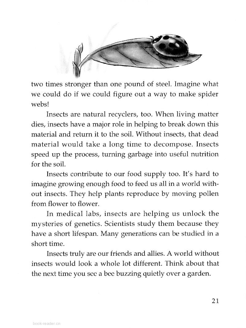 Insects Lend a Helping Hand绘本故事第3页