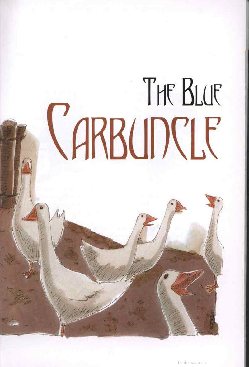 Sherlock Holmes Investigates绘本故事第3页