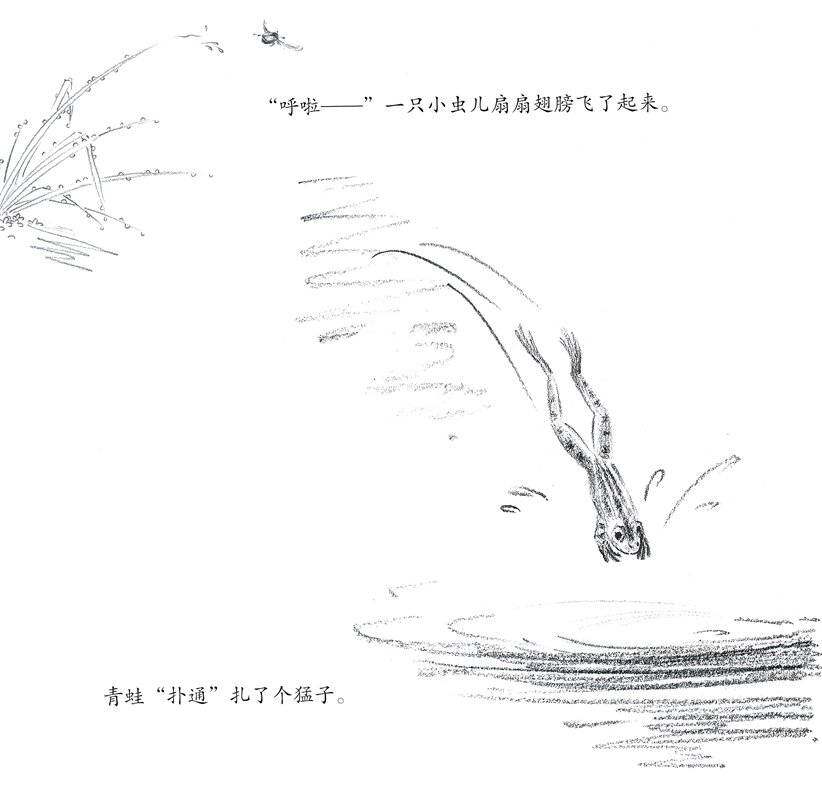 池塘绘本故事第2页