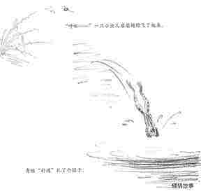 池塘绘本故事第2页