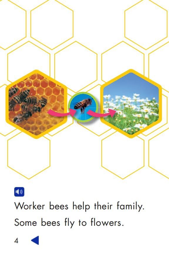 Worker Bees绘本故事第4页