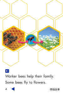Worker Bees绘本故事第4页