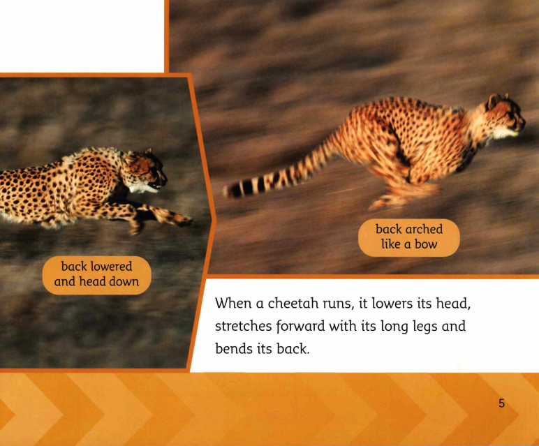 Going Fast绘本故事第5页