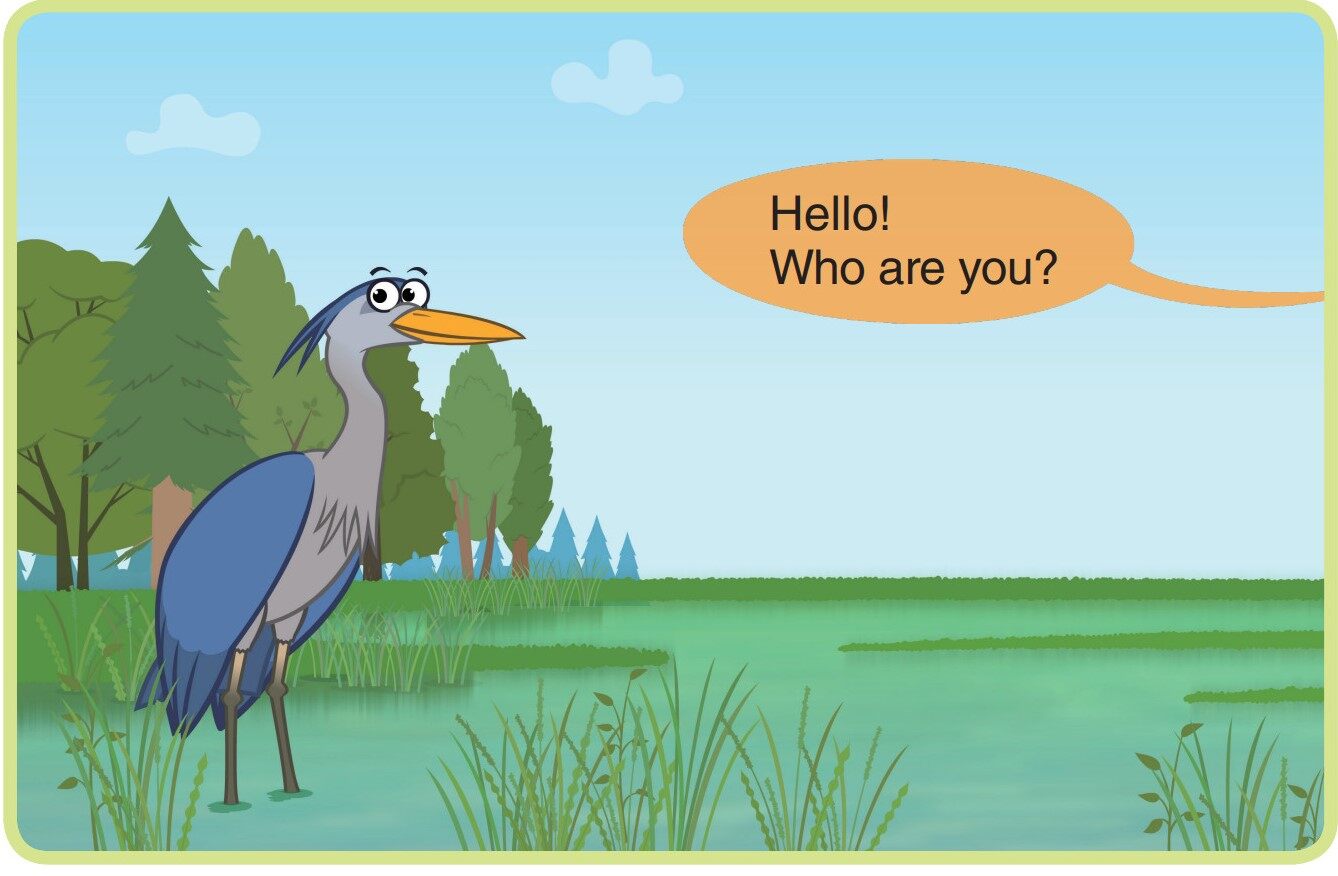 Great Blue Heron绘本故事第2页