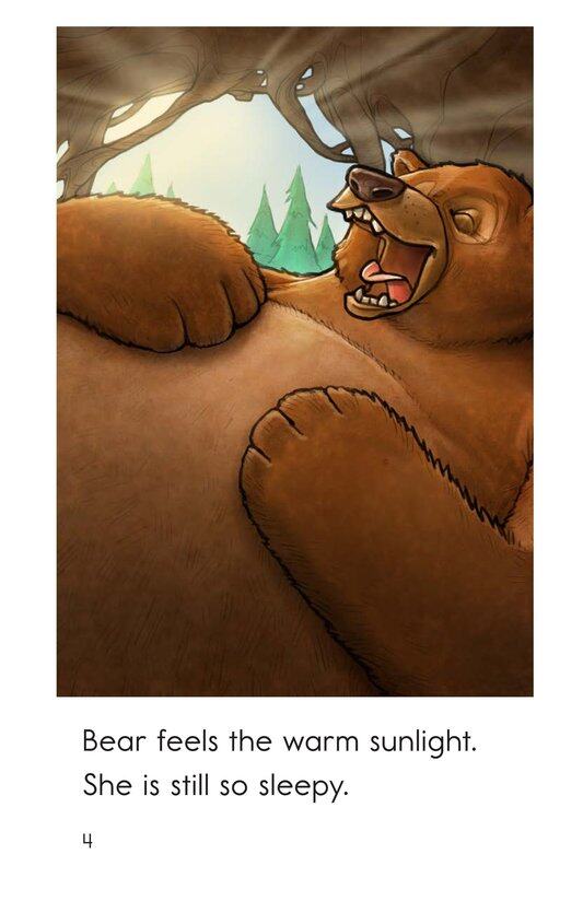 Wake Up,Bear!绘本故事第4页