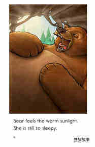 Wake Up,Bear!绘本故事第4页