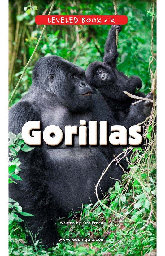 Gorillas绘本故事第2页