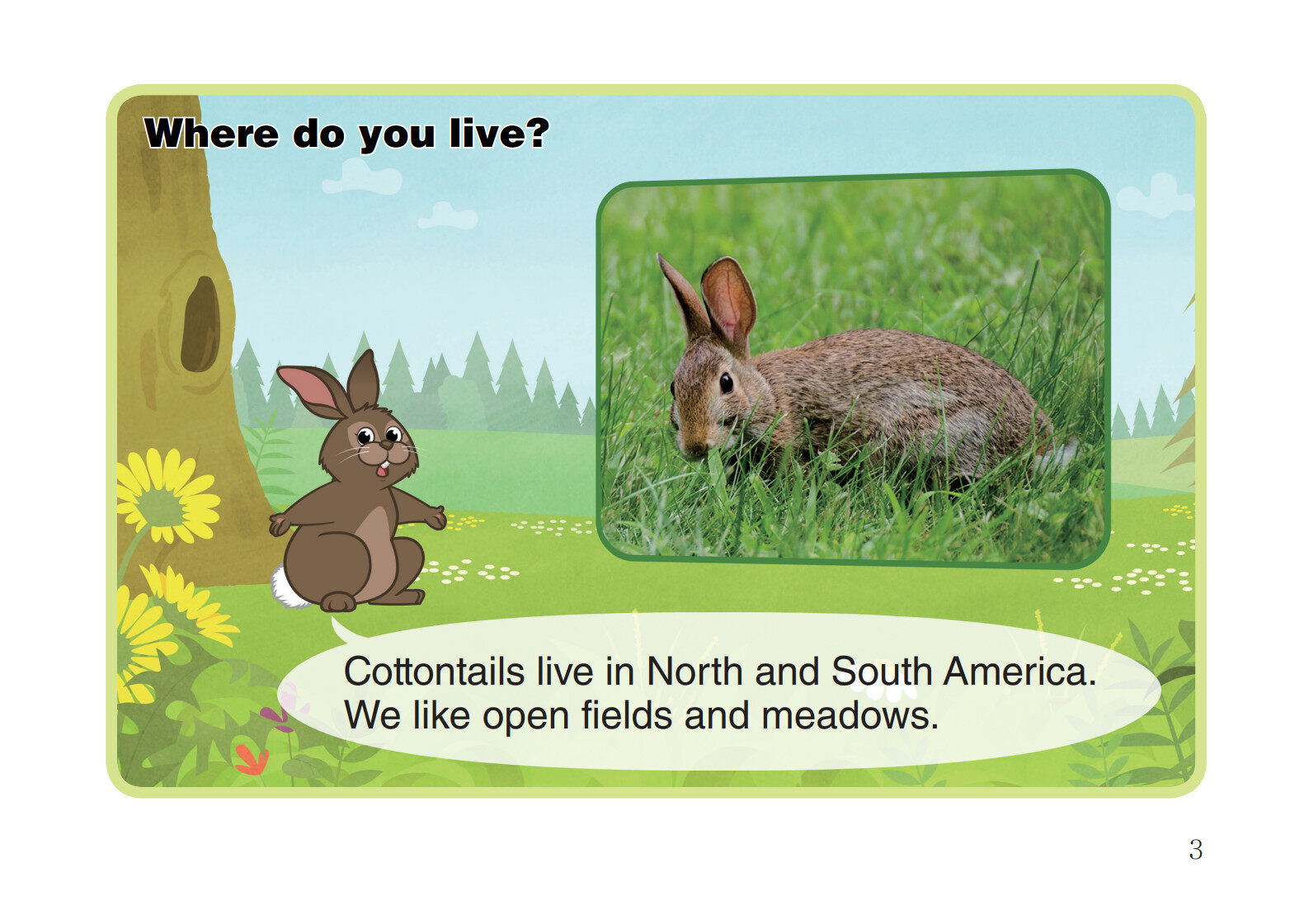 Cottontail Rabbit绘本故事第4页