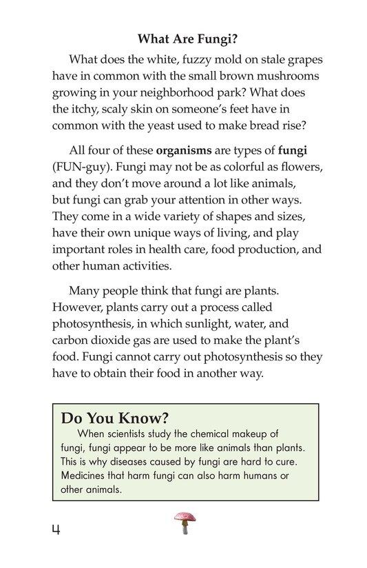 Fungus Among Us绘本故事第3页