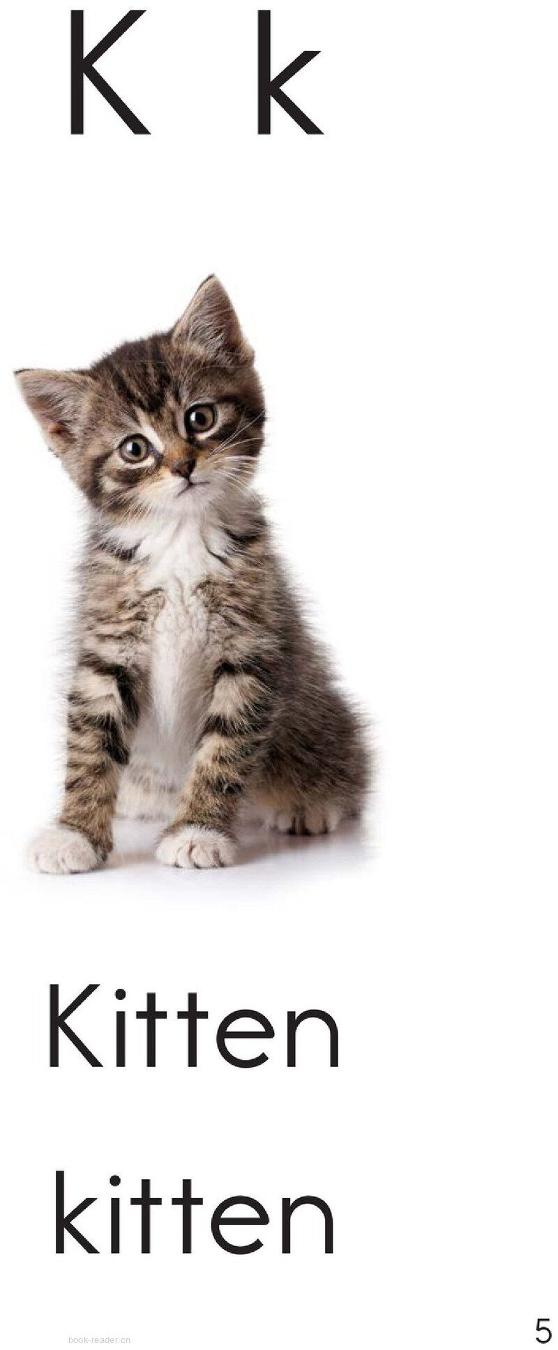 Letter K绘本故事第5页