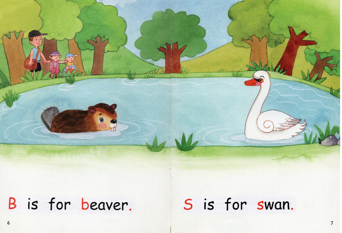 who swims here绘本故事第5页