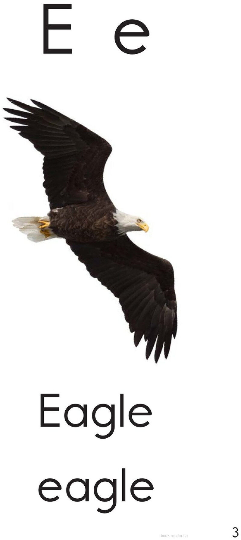 Letter E绘本故事第3页