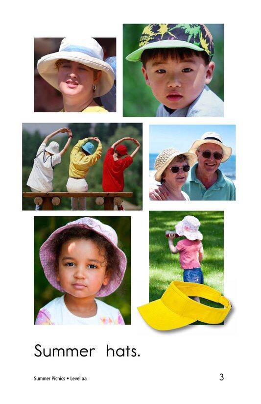 Summer Picnics绘本故事第3页