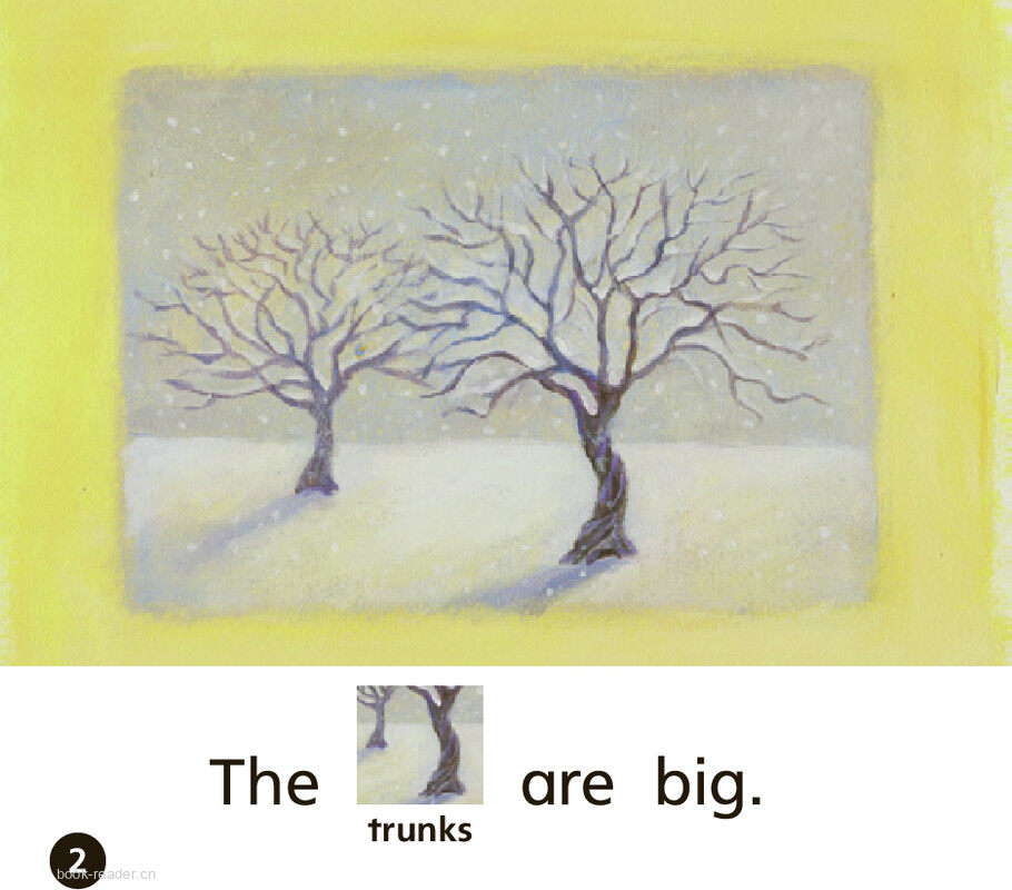 GK Approach U05W2 The Tree绘本故事第3页