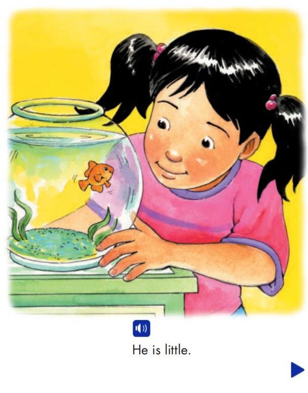 A House for My Fish绘本故事第4页