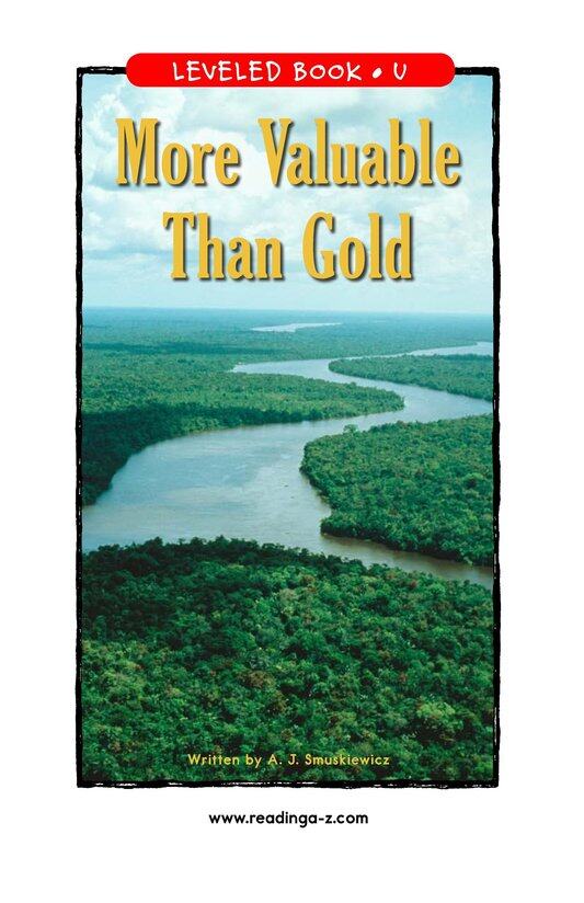 More Valuable Than Gold绘本故事第2页