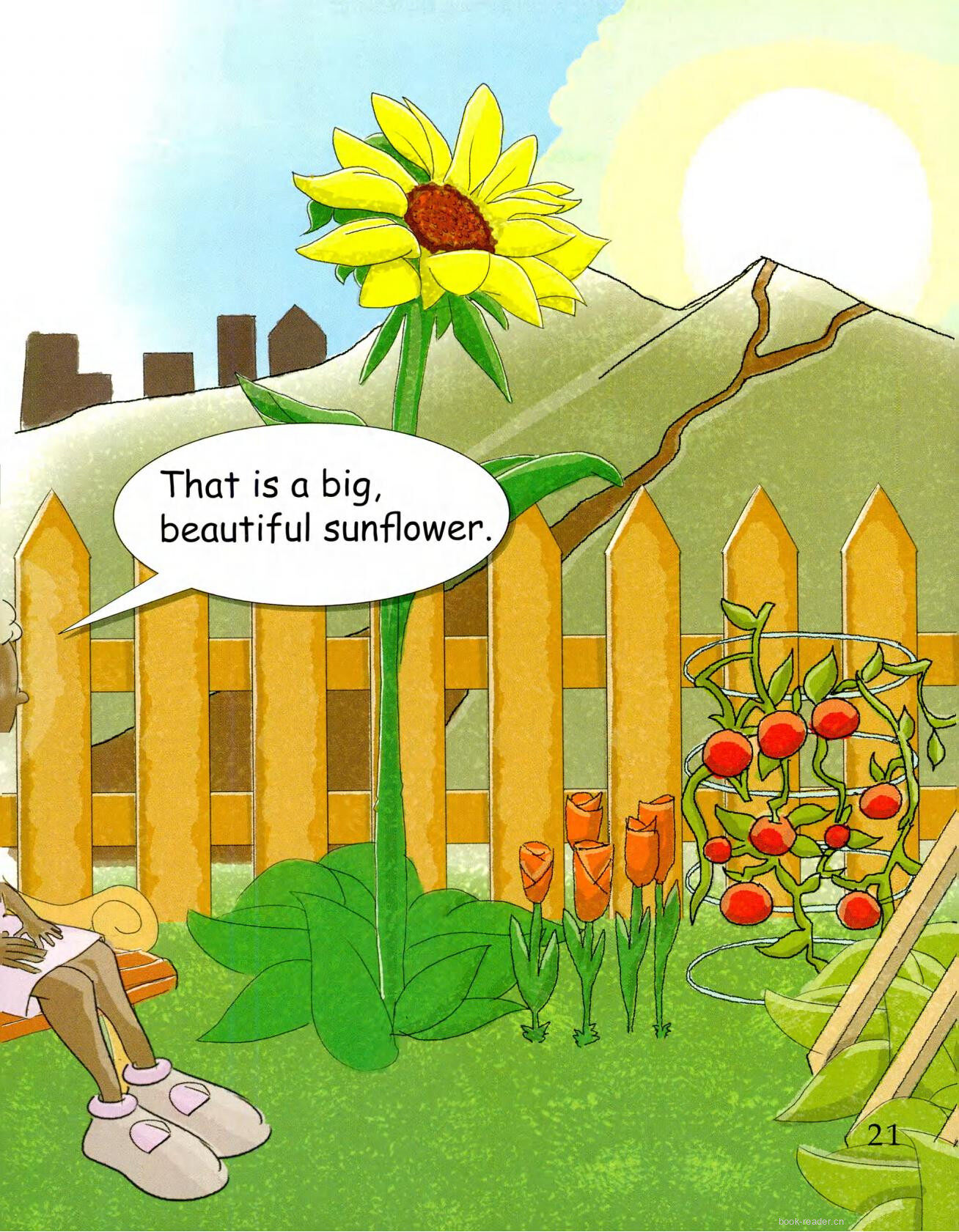 What Am I?绘本故事第3页