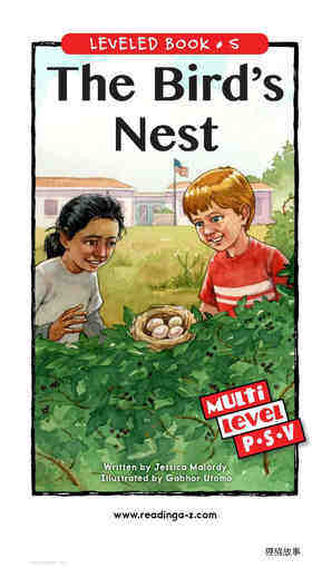 The Bird's Nest