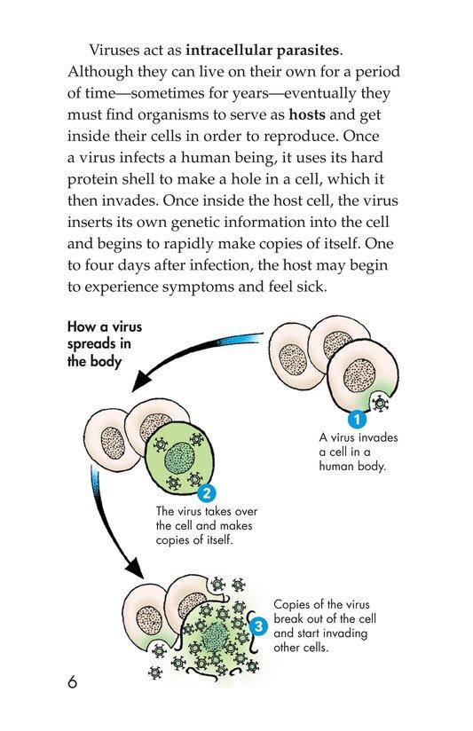 InFLUenza绘本故事第5页